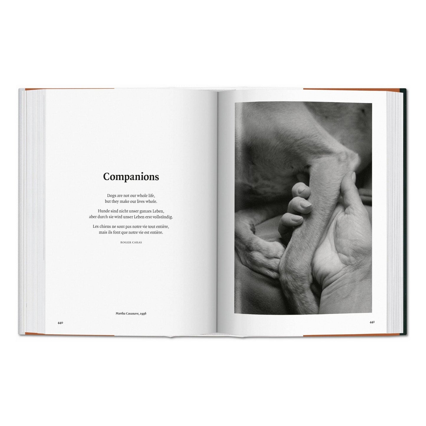 The Dog in Photography 1839–Today (German, French, English)