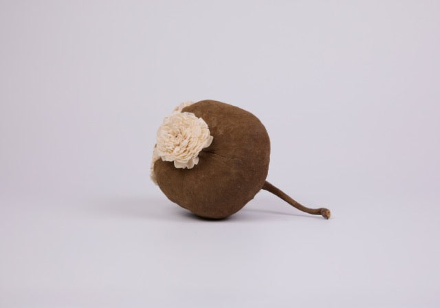 Balsa Acorn Pod Sculpture