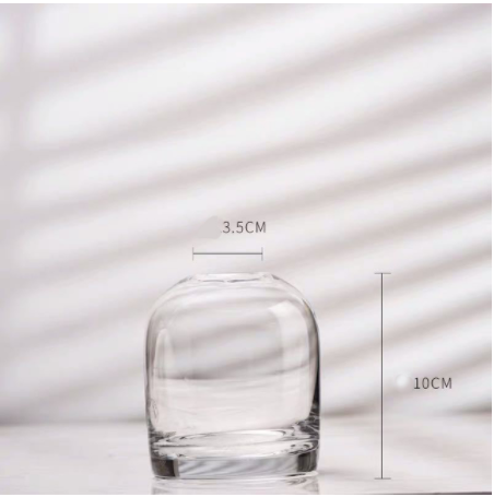Simple Creative Glass Vase: 190Soot