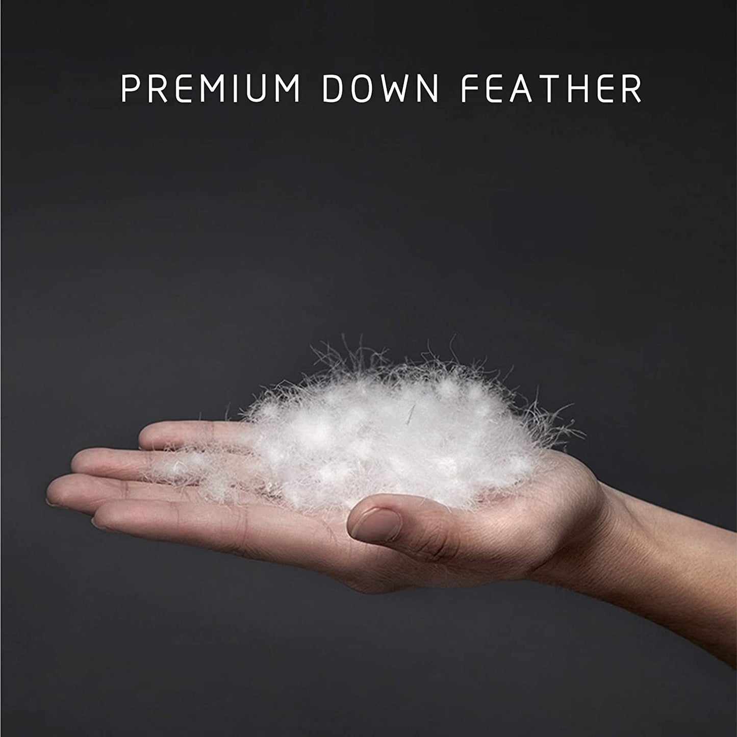 700 Fill Power Comforter Down & Feather All Season: Queen