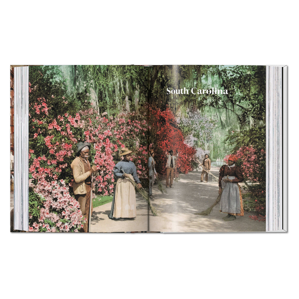 America 1900. A Portrait in Color. 45th Ed. (English)
