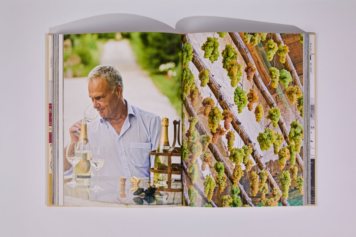 Wine & Travel Italy