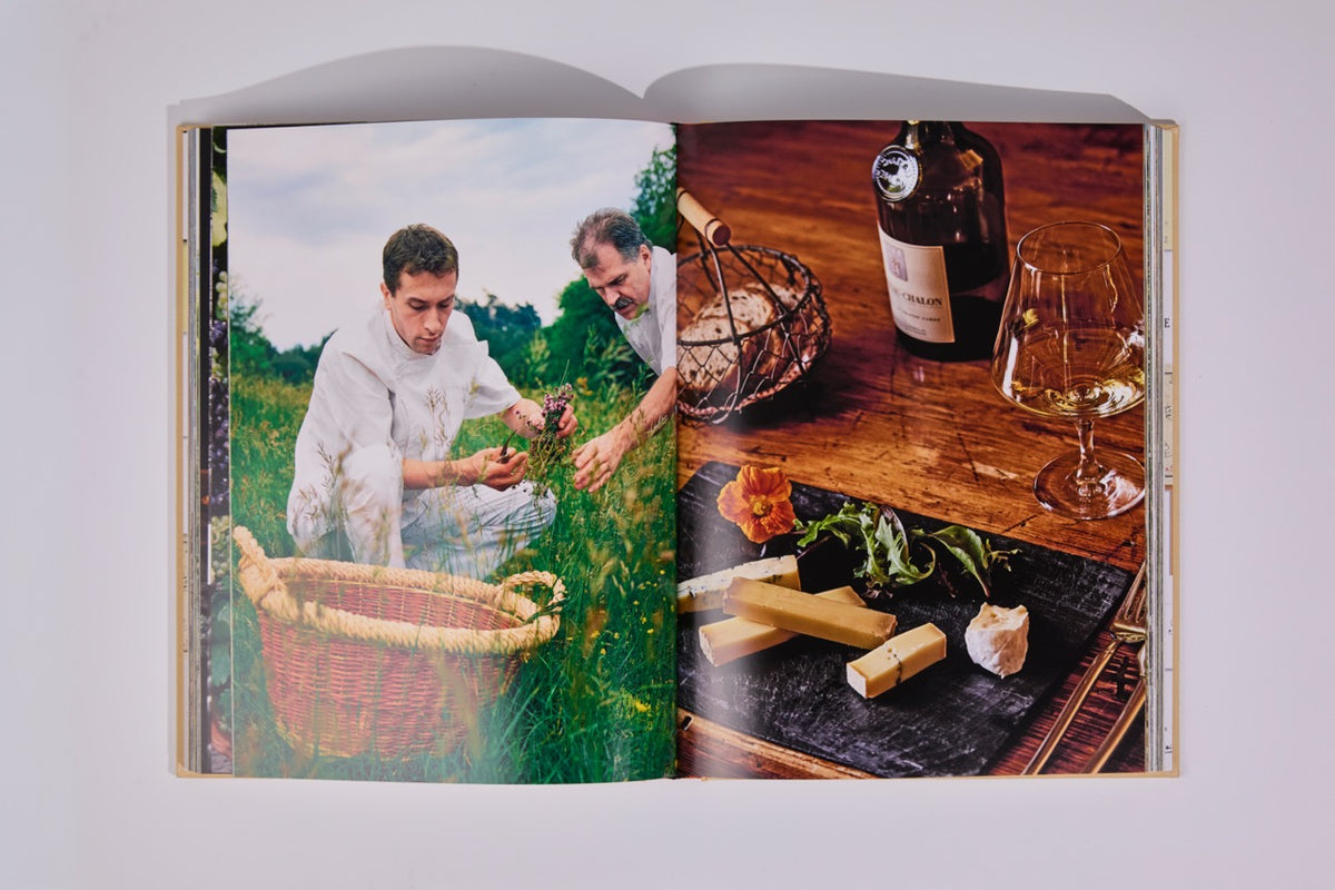 Wine & Travel France