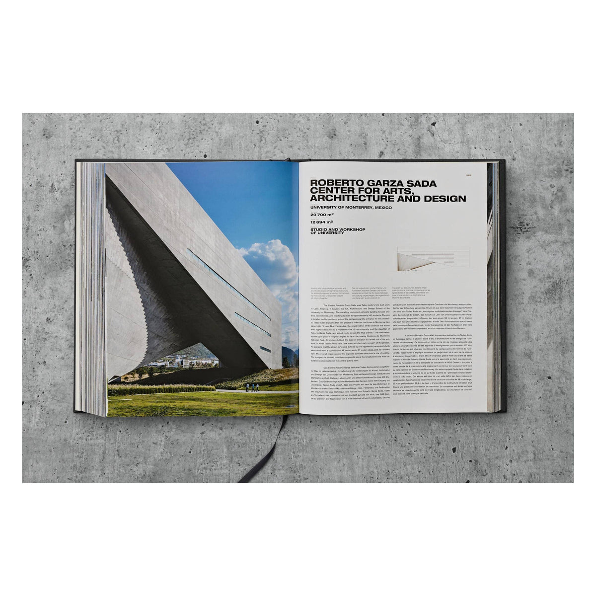 Ando. Complete Works 1975–Today (German, French, English)
