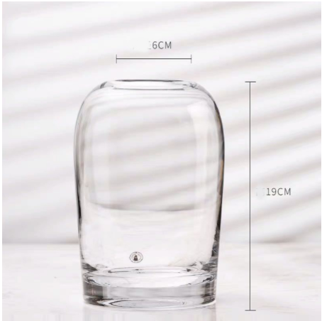 Simple Creative Glass Vase: 120Soot