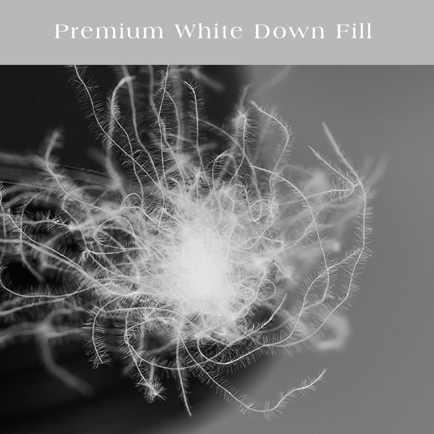 Down Blend Medium Support 100% Cotton Pillows, Set of 2: King