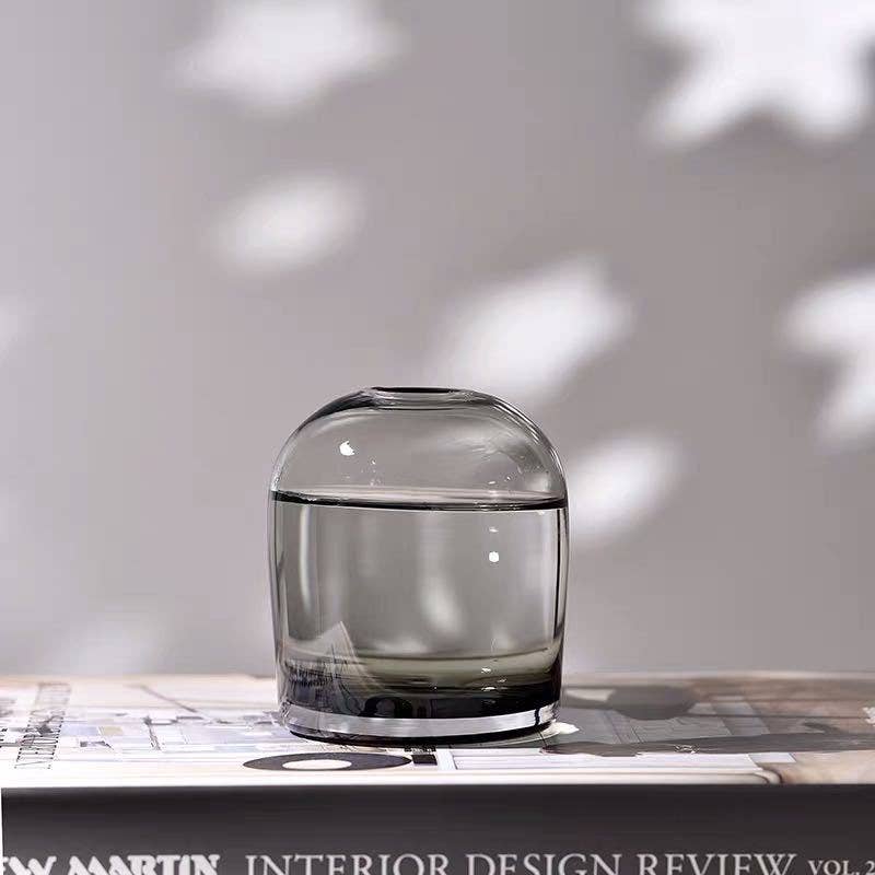 Simple Creative Glass Vase: 120Soot