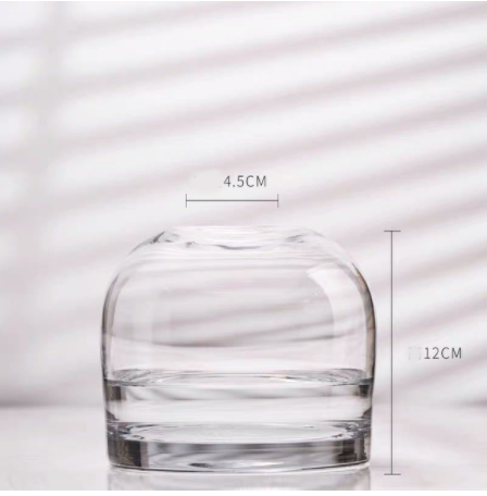 Simple Creative Glass Vase: 120Soot