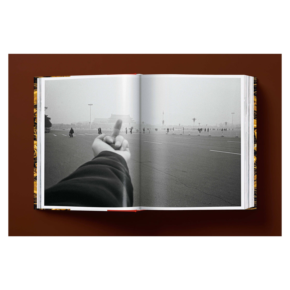 Ai Weiwei. Updated Edition (German, French, English)