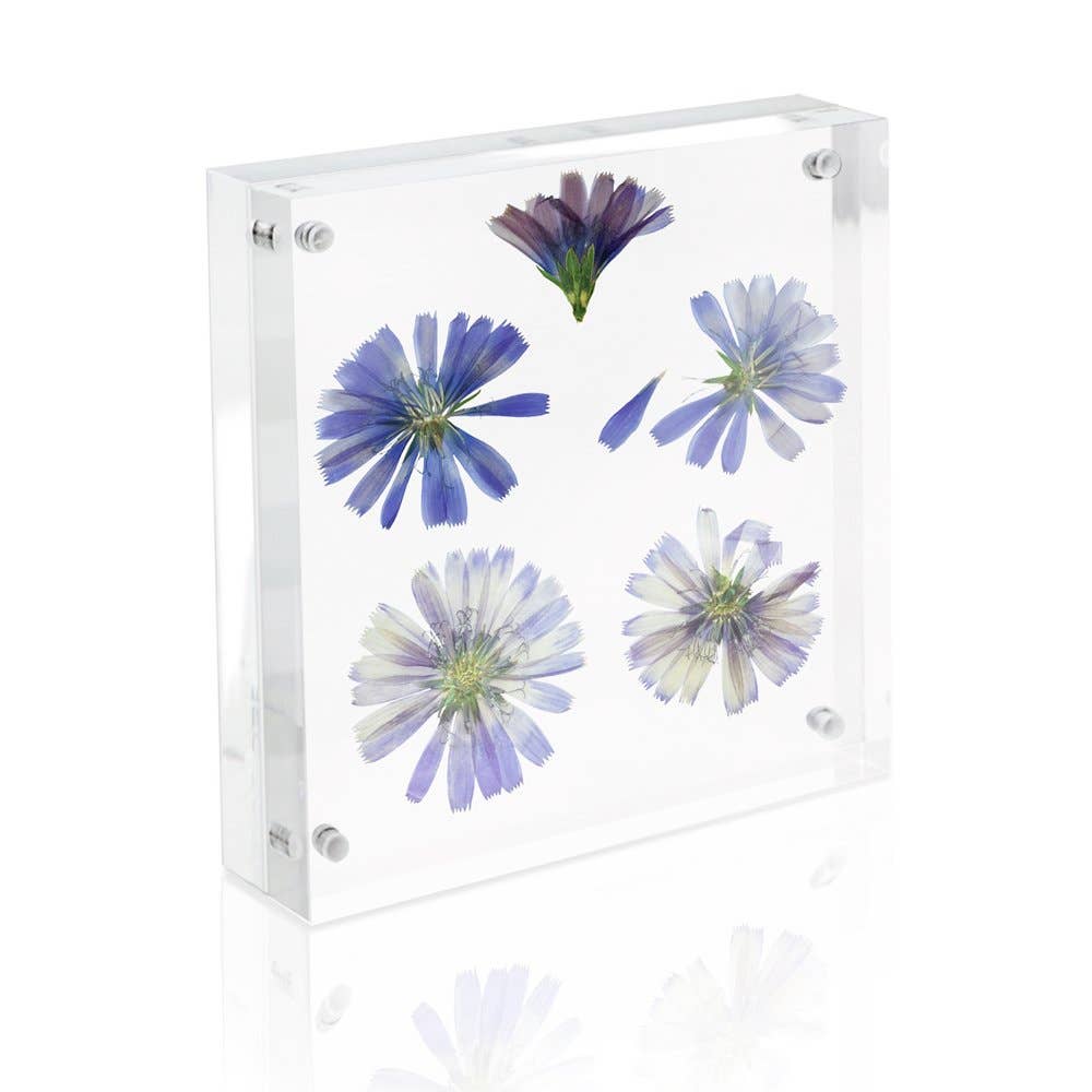 Isaac Jacobs Super Thick Clear Acrylic Magnetic Photo Frame