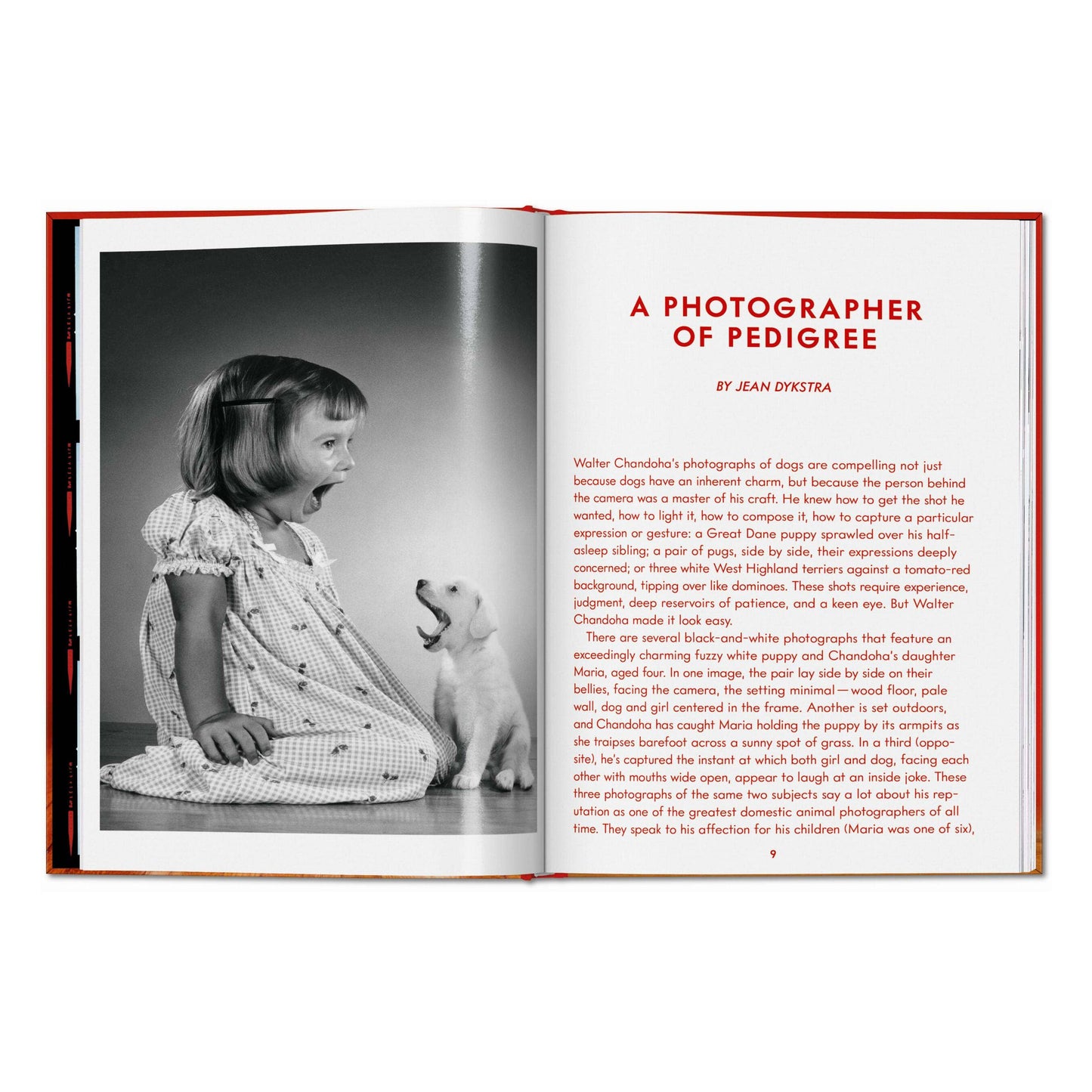 Walter Chandoha. Dogs. Photographs 1941–1991 (English)