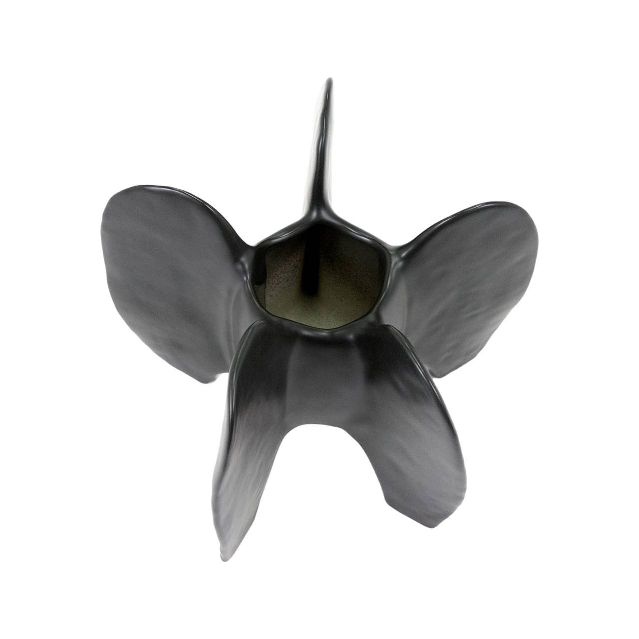 Eunoia Black Vase