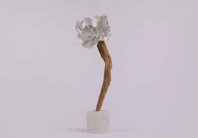 Magnolia Sculpture