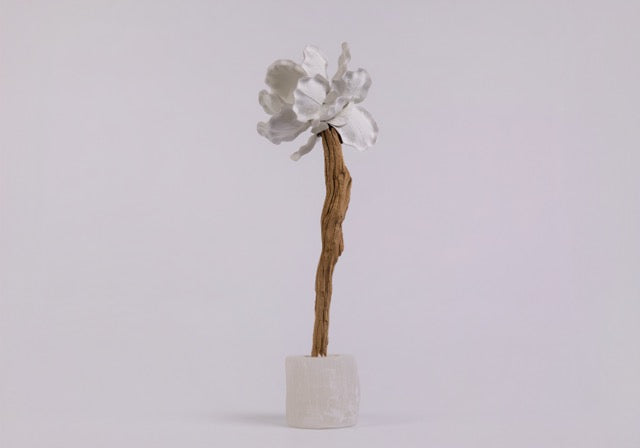 Magnolia Sculpture