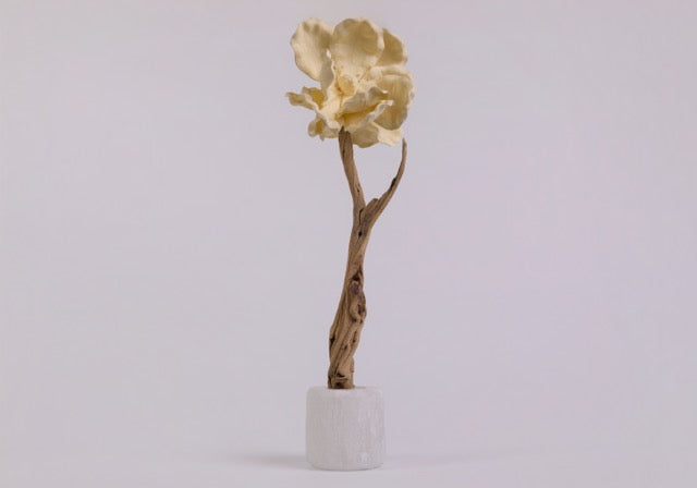 Magnolia Sculpture