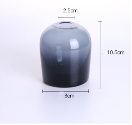 Simple Creative Glass Vase: 120Soot