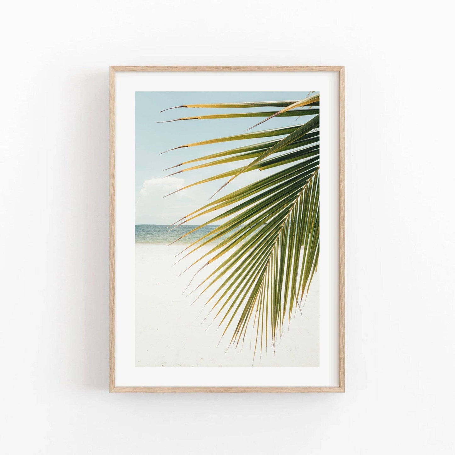 Palm Leaf