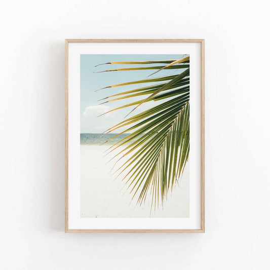 Palm Leaf