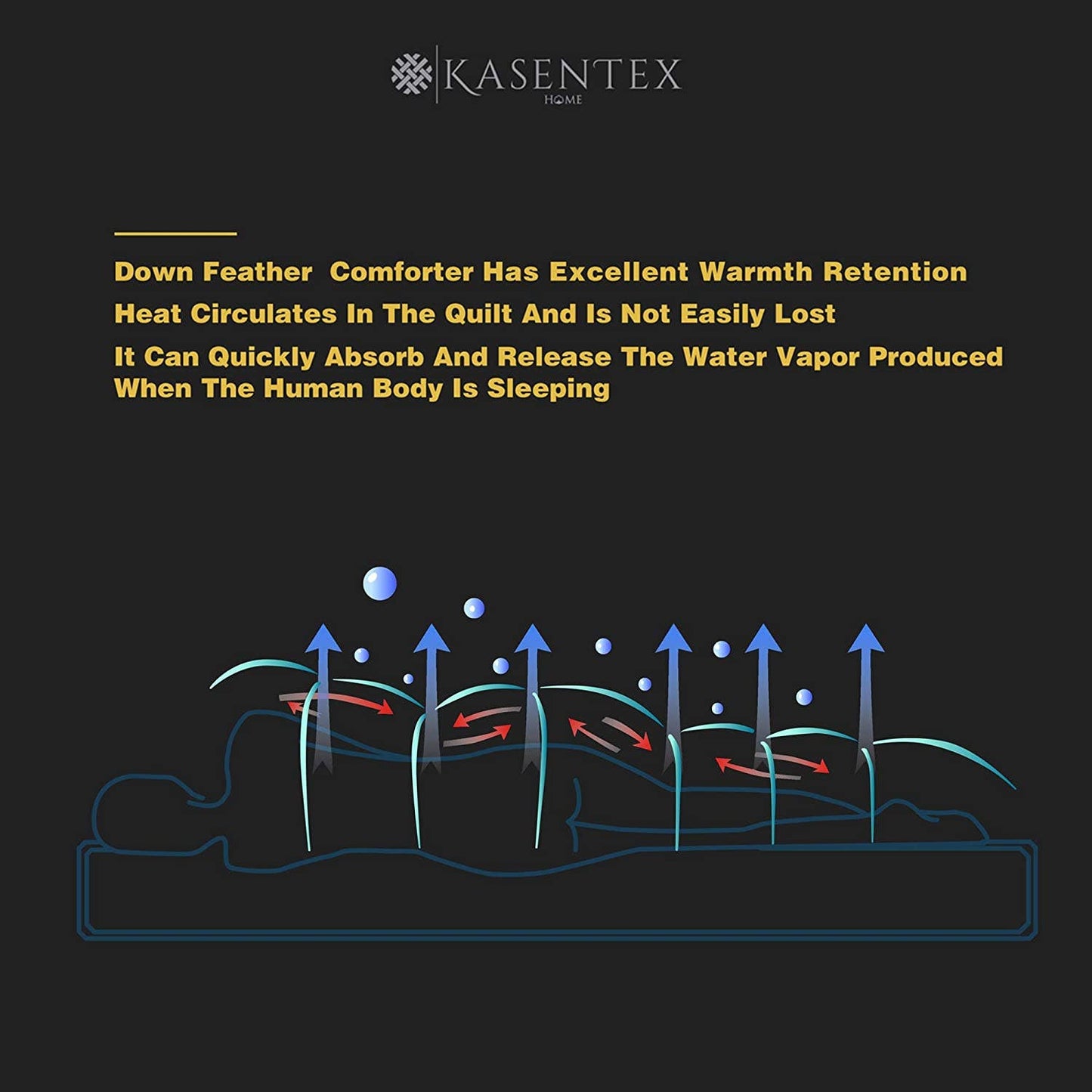 700 Fill Power Comforter Down & Feather All Season: Queen