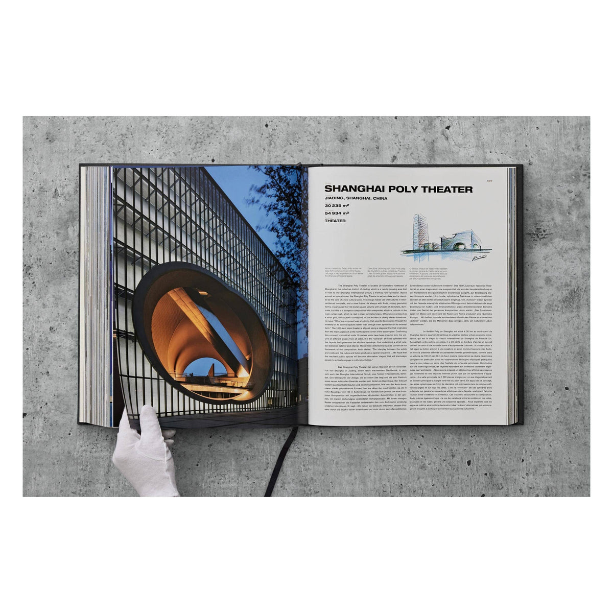 Ando. Complete Works 1975–Today (German, French, English)