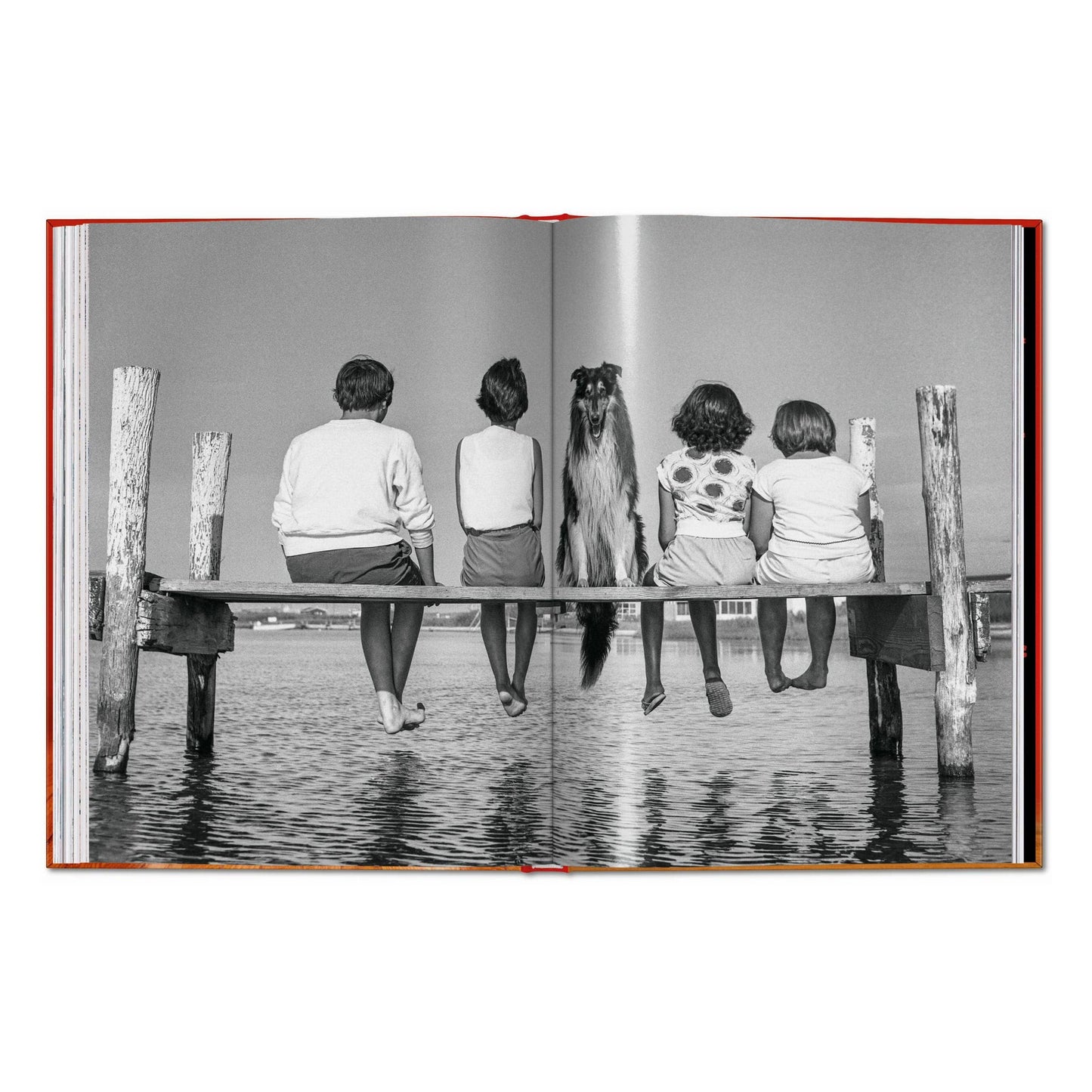 Walter Chandoha. Dogs. Photographs 1941–1991 (English)