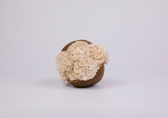 Balsa Acorn Pod Sculpture