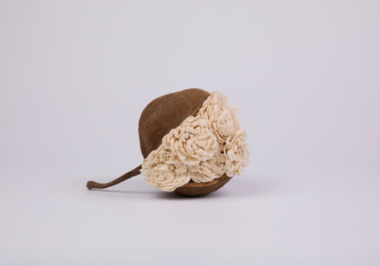Balsa Acorn Pod Sculpture