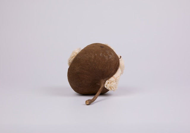 Balsa Acorn Pod Sculpture